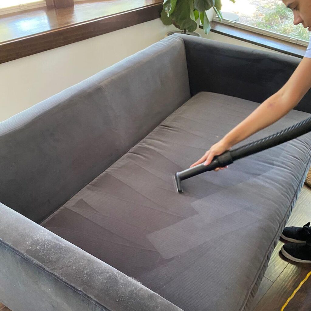Person cleaning a gray fabric sofa with a vacuum cleaner nozzle, with a focus on a wet patch on the couch.