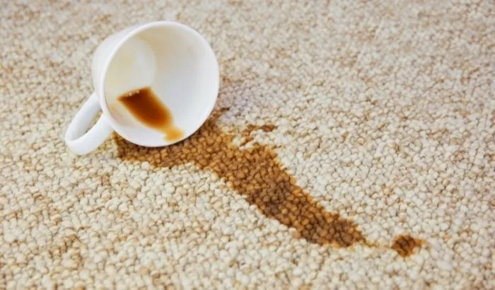 A white coffee cup lies on its side, spilling coffee onto a light-colored carpet and creating a noticeable stain.