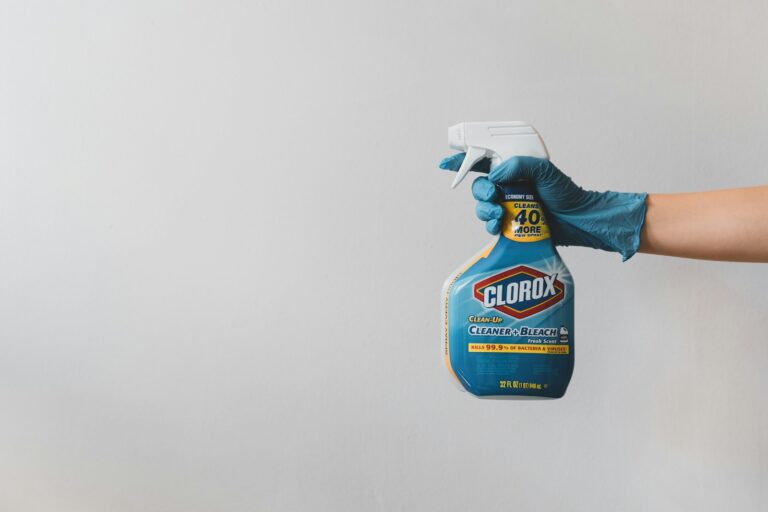 Unveiling the Best Stain Removers of 2024: Your Ultimate Guide