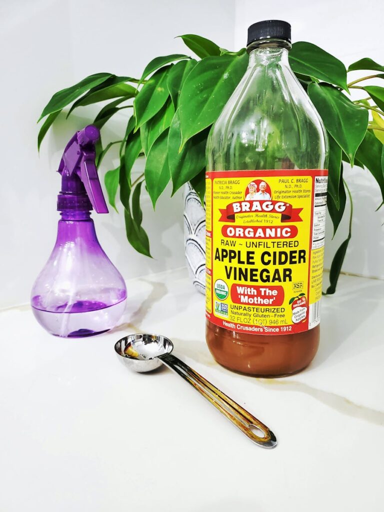 Using Apple Cider Vinegar to Clean Mold