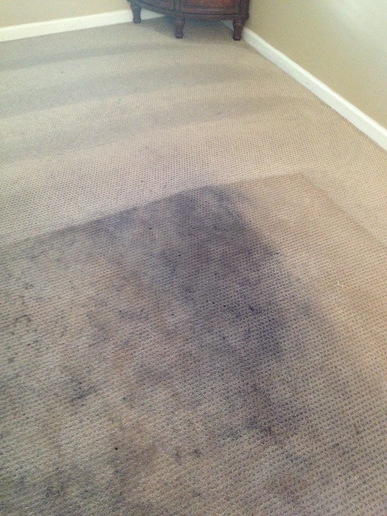 Before And After DIY Carpet Cleaning Solutions  