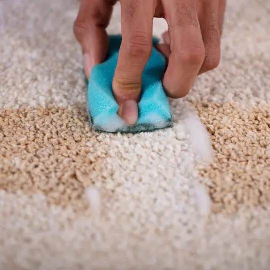 A hand uses a blue sponge to clean a stained light-colored carpet, removing dirt and creating a visible clean area.