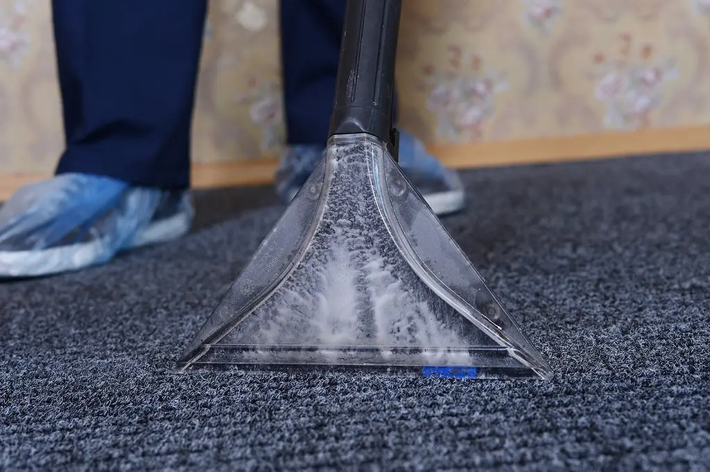 Carpet Cleaning Process Can Be Different To Other