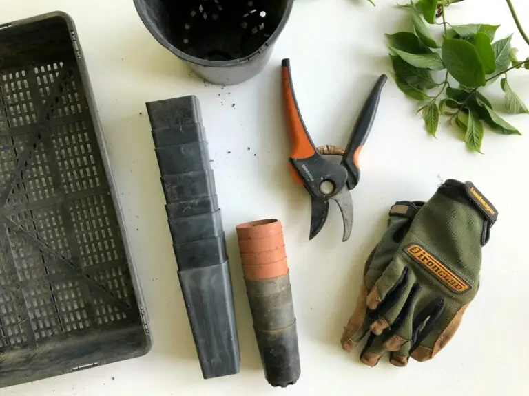 How To Clean Garden Tools Before Rusting