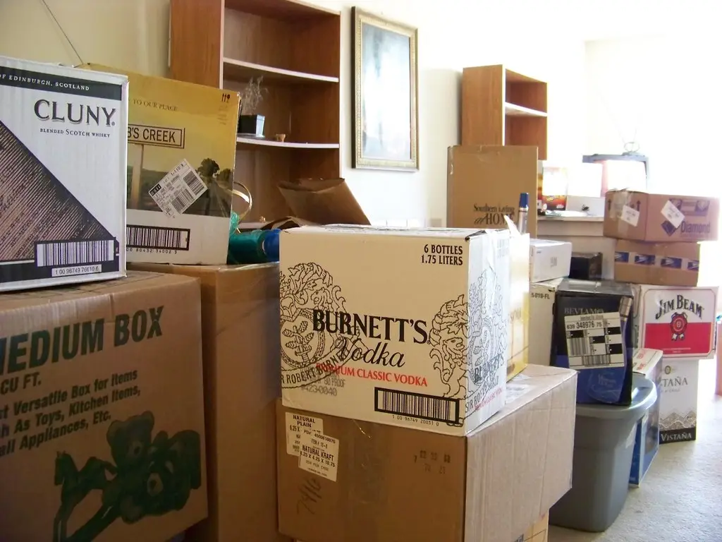 Apartment - Moving In Cleaning Before Settling Down