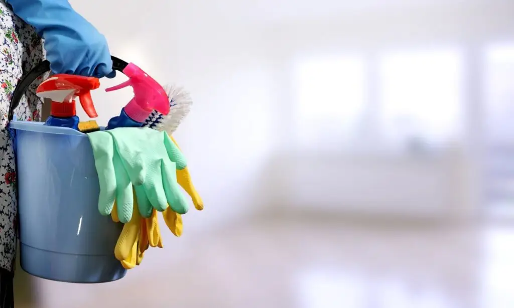 Get Everything You Need to Know About Organization Service Cleaning